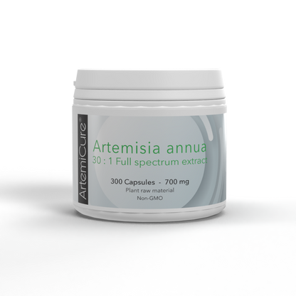 Artemisia annua - 30:1 plant extract - 300 capsules