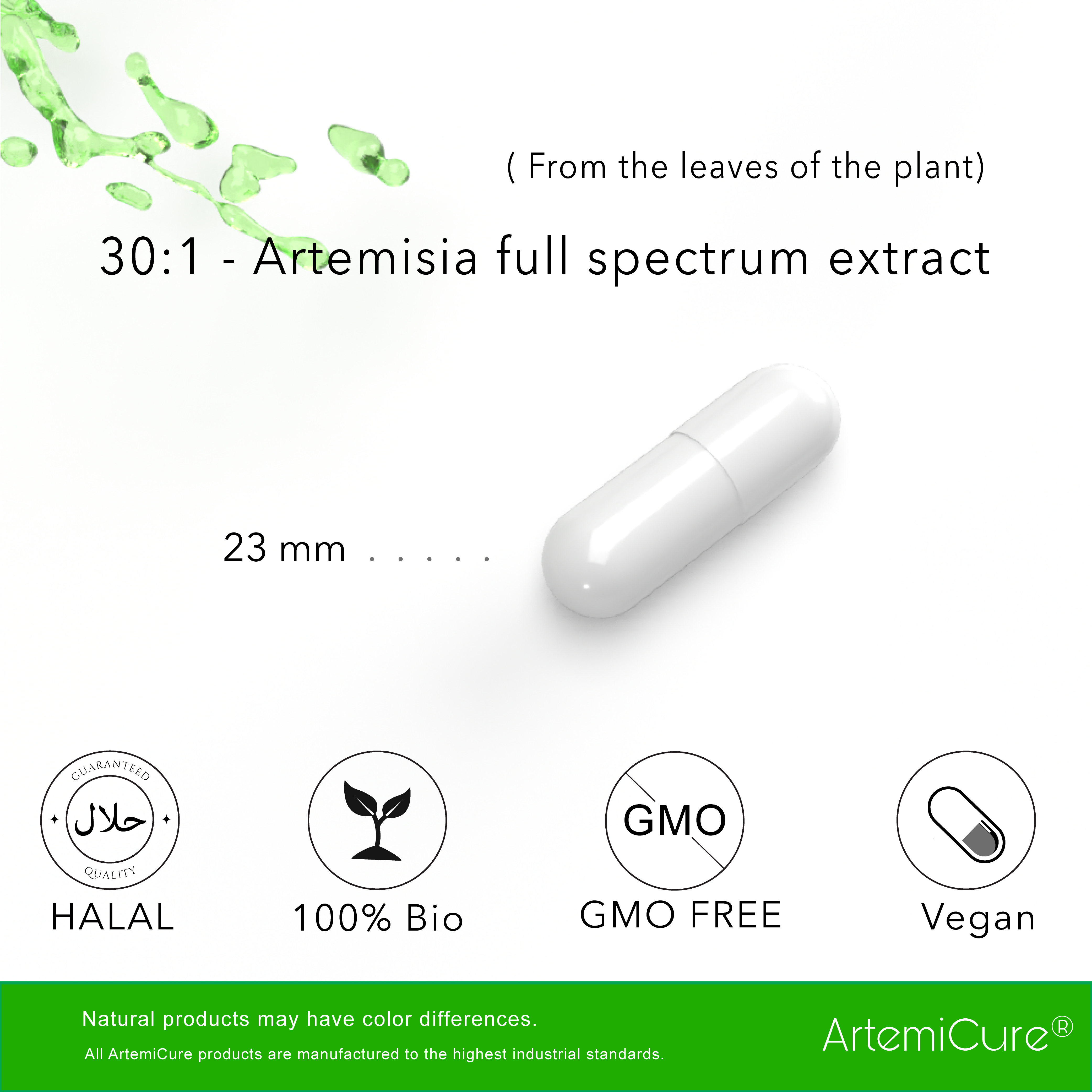 Artemisia annua - 30:1 plant extract - 150 capsules