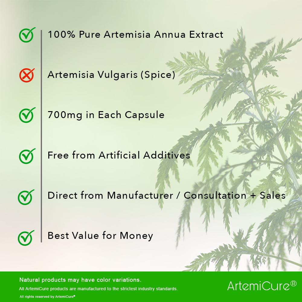 Artemisia annua - 30:1 plant extract - 300 capsules